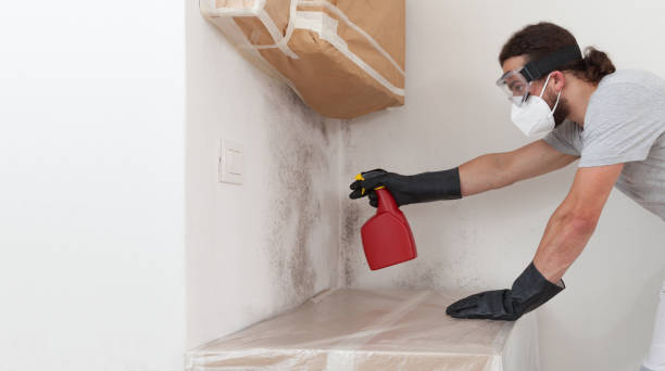 Professional Basement Mold Remediation technician working in Rumson, NJ