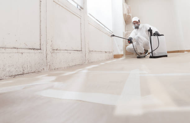 24/7 Emergency Basement Mold Remediation experts in Rumson, NJ